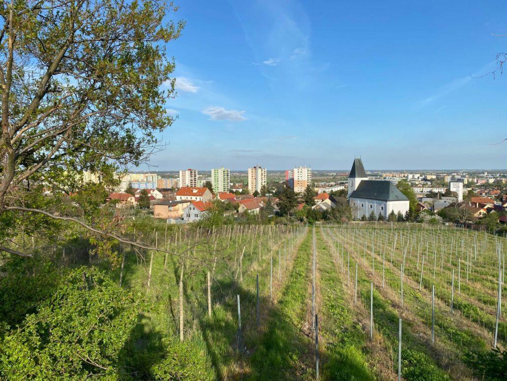 Hotel Baronka Bratislava Ngoại thất bức ảnh